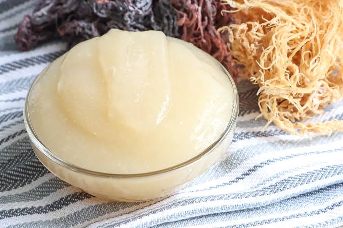 Sea Moss